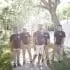 A group of men posing in front of a tree.